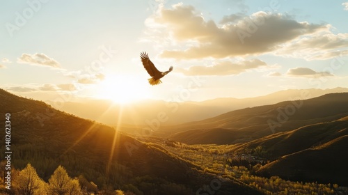 Eagle soaring at sunrise over mountains nature photography scenic view