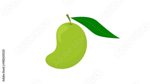 green mango fruit with stalk and leave. fruit theme. mango flavor. simple animation. motion graphics. mango on white background