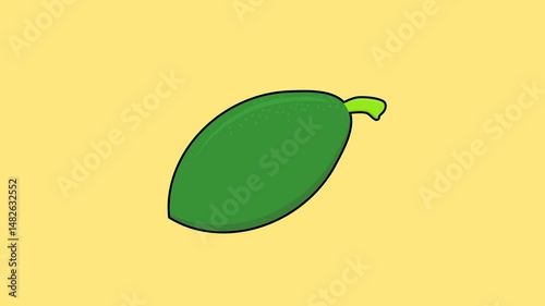 papaya. green papaya. tropical fruit. farmer. harvest. agriculture. product. fruit theme. vegetarian. simple animation. motion graphics. 