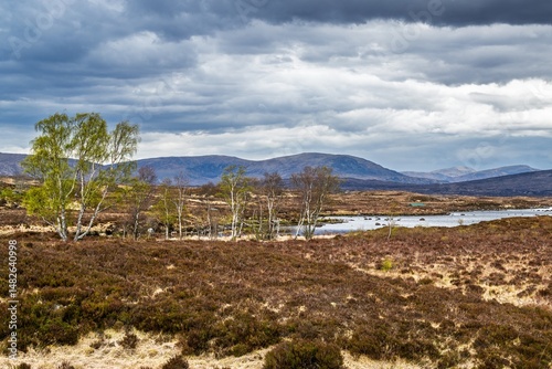 Obraz na płótnie Rannoch Moor over Loch Ba and Loch of the Armpit, A82 Highland Way, Argyll and Bute, West Highlands, Scotland, UK w salonie