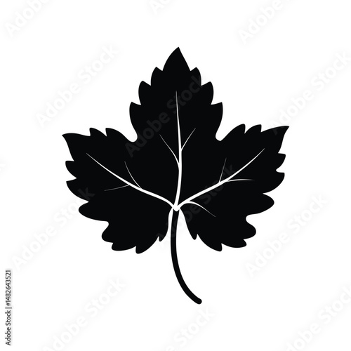 Fresh young green grapevine leaf silhouette vector illustration. Spring vineyard plant foliage, botanical flat herb, natural leaf icon.
