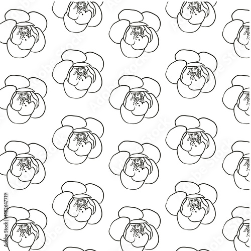 Spanish Cherry or Mimusops elengi flower Seamless Pattern Hand drawn vector line art, Black and White Flower isolated in white. Beautiful design for textile, wallpaper, wrapping paper and backgrounds photo