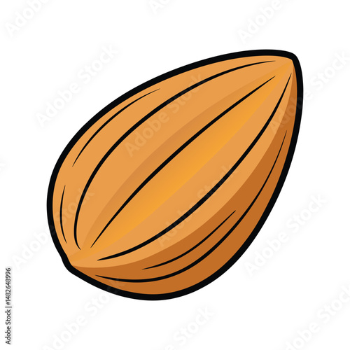 Almond nut vector illustration. Whole almond clipart, healthy food icon, organic snack element, botanical seed design.

