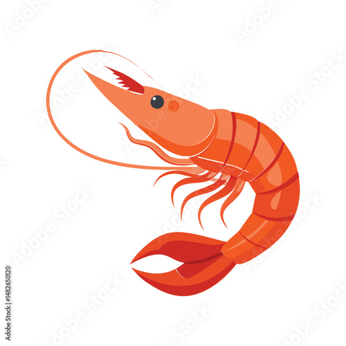 Boiled shrimp vector illustration. Cooked seafood clipart, delicious prawn artwork, crustacean design for food visuals.

