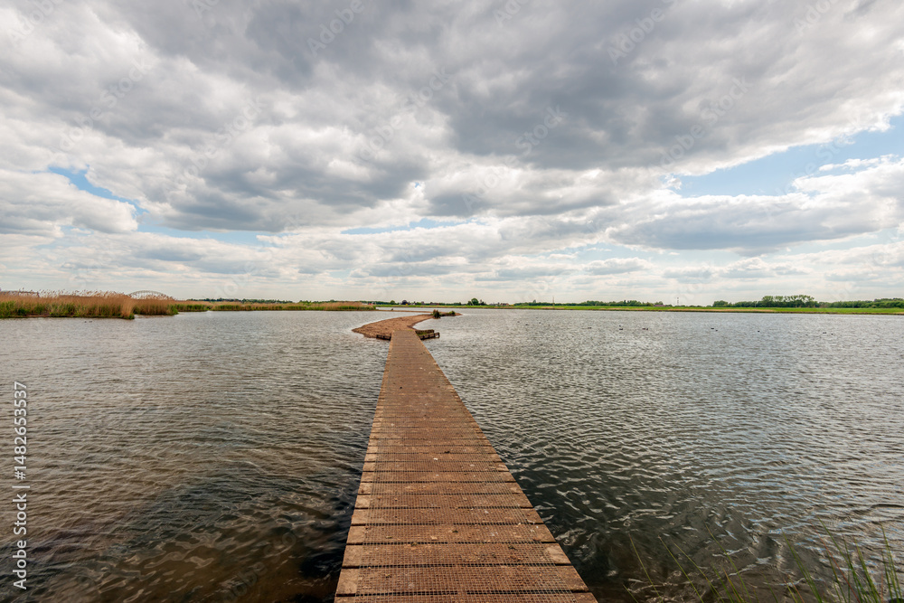 Fototapeta premium Wooden decking path over the water. The planks are covered with mesh to prevent slipping. The path is made in a flooded polder on a wide river with tidal differences.