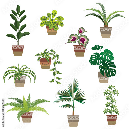 set of indoor plants