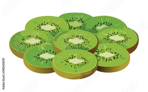 Kiwi slices arranged - vector illustration