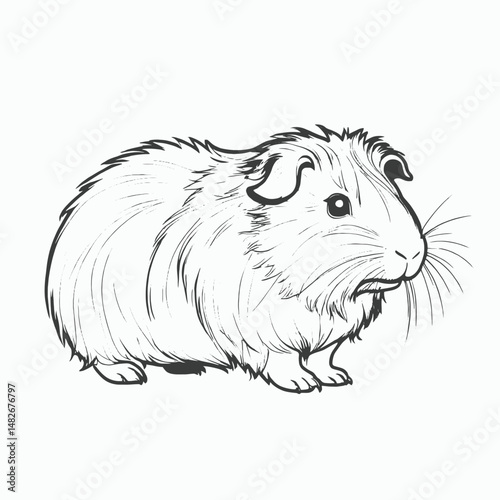 Adobe Illustrator Artwork