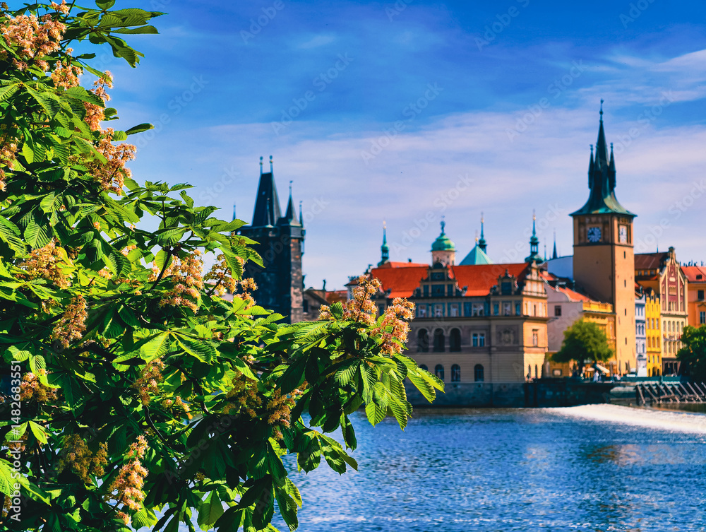 Obraz premium Scenic View of a Historic European City with Riverside Architecture and Blossoming Tree Branches in the Foreground, Capturing the Charm and Beauty of Urban and Natural Harmony