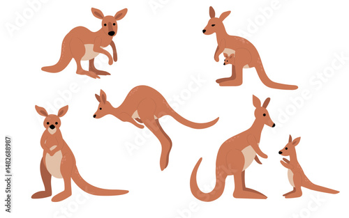 Illustration of  Kangaroos in Various Poses