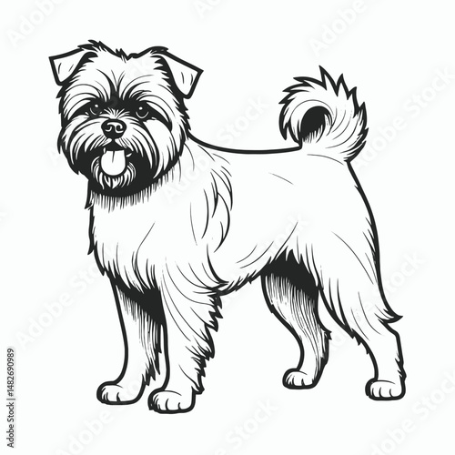 Adobe Illustrator Artwork