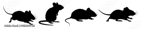 Set of mouse silhouette – side view, vector illustration