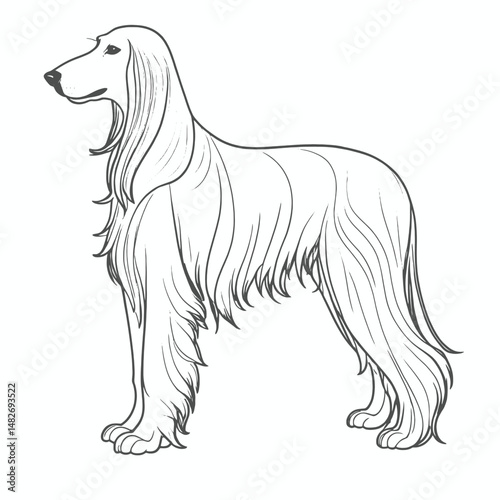 Adobe Illustrator Artwork