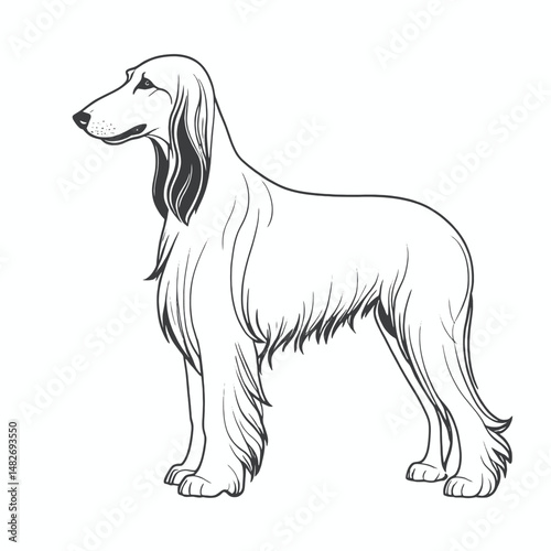 Adobe Illustrator Artwork