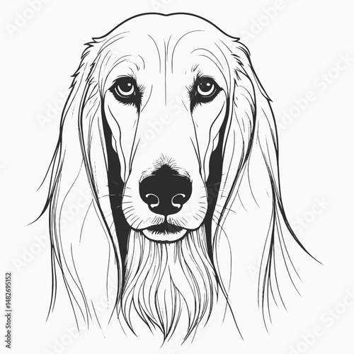 Adobe Illustrator Artwork