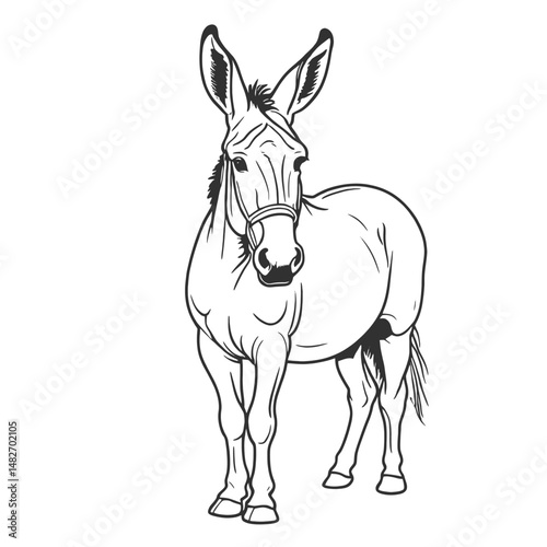 Adobe Illustrator Artwork