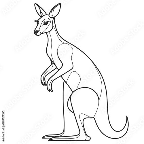 Adobe Illustrator Artwork