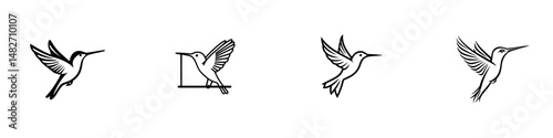Vector illustration of hummingbirds in different flying poses suitable for design projects or educational materials