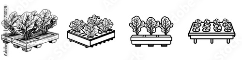 Vector illustration of various planting designs featuring crops arranged in wooden pallets and containers for urban gardening