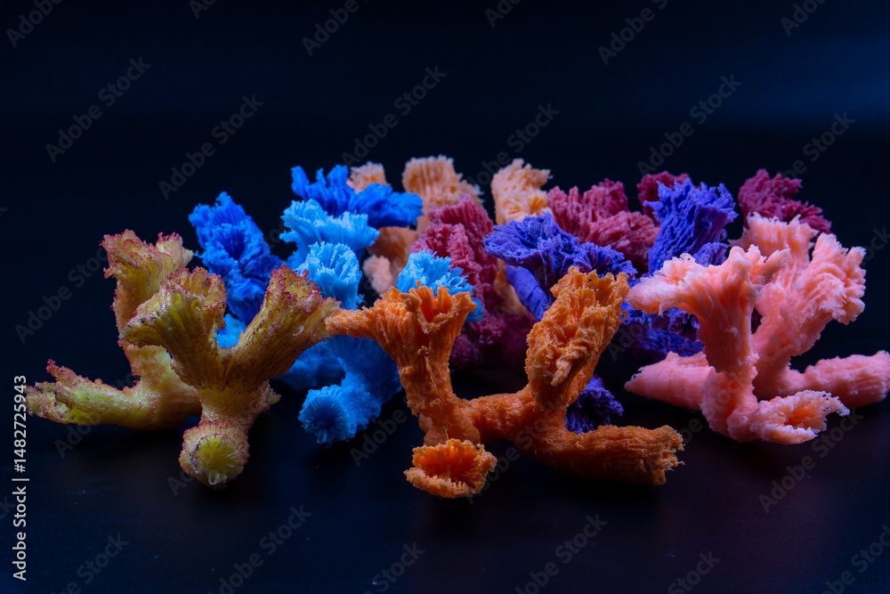 Fototapeta premium coral reef in the red