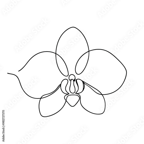 Elegant single line drawing of a blooming orchid with delicate petals