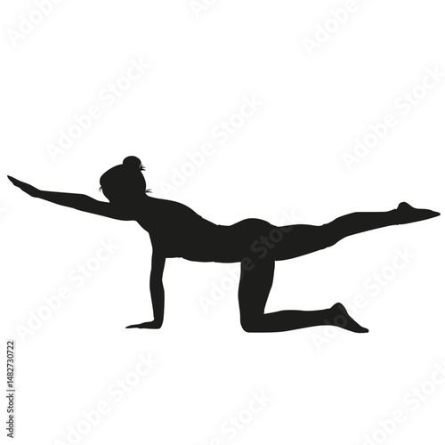 Gym exercise silhouette alternate arm and leg