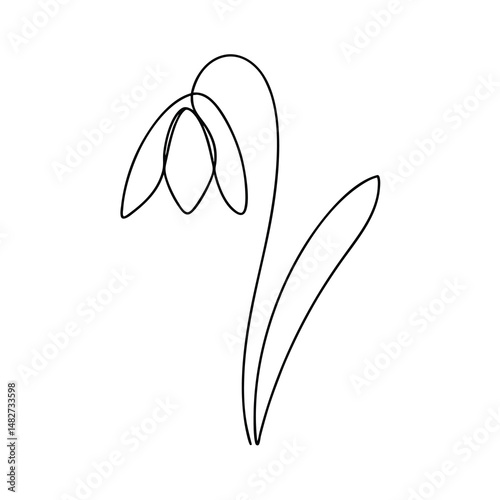 Minimalist Snowdrop flower drawing with single continuous line black on white background