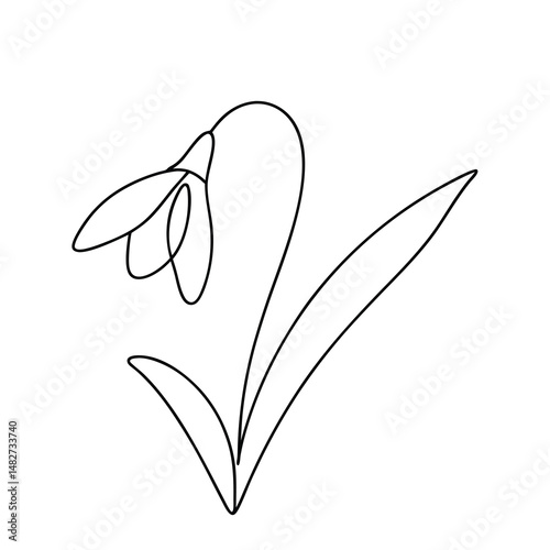 Simple Single Line Drawing of a Snowdrop Flower on White Background