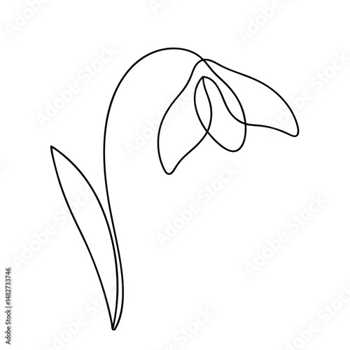Elegant single line drawing of a minimalist snowdrop flower illustration art