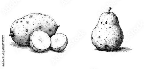 Whole and sliced potato with pear in vintage black ink sketch style  