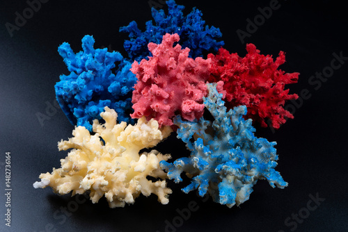 Fototapeta Naklejka Na Ścianę i Meble -  coral on a blue background