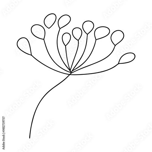 Minimalistic black and white line drawing of a dill flower with stem