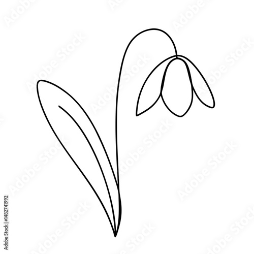 Simple line drawing of a snowdrop flower, minimalist and elegant design