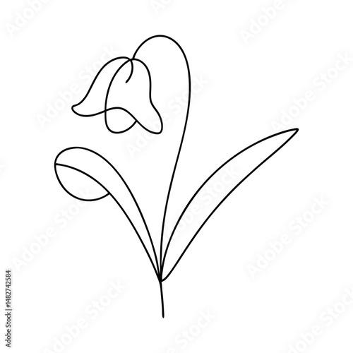 Simple single line drawing of a snowdrop flower for minimalist designs