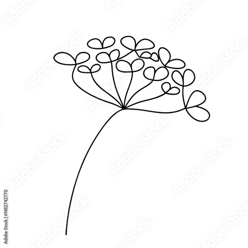 Minimalistic line art of a delicate dill flower on white background