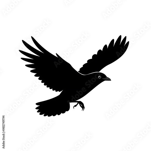 Midnight Flight