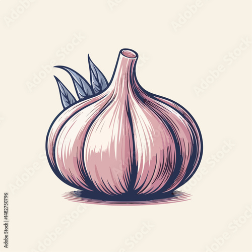 white background garlic illustration 