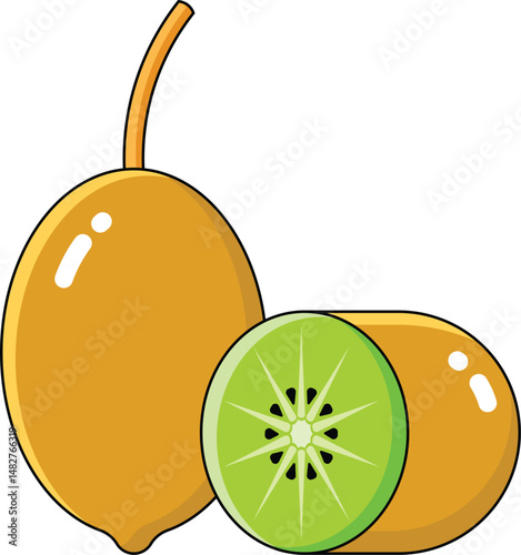 kiwi vectors