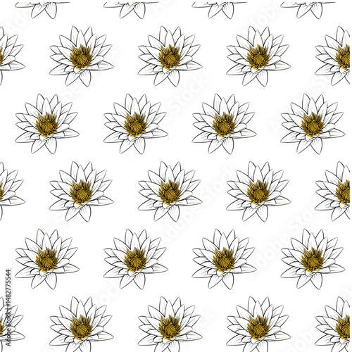 Lotus Lily or Nymphaea lotus flower Seamless Pattern Hand drawn vector line art, Black and Colors Flower isolated in white. Beautiful design for textile, wallpaper, wrapping paper and backgrounds