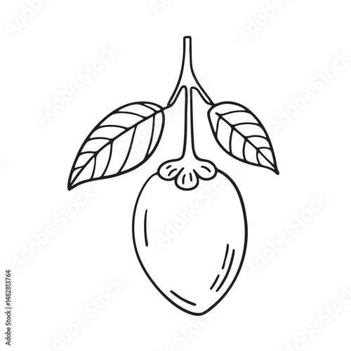 A tamarillo hanging from a branch near broad leaves