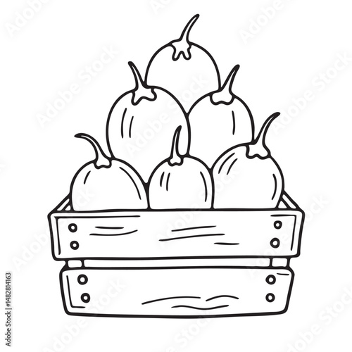 A tamarillo stacked in a crate at a roadside fruit stand