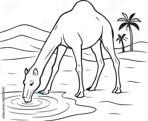 Camel Drinking Water in Desert