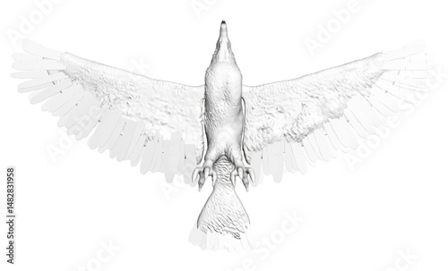 A white bird with its wings spread out. The bird is in the air and he is flying