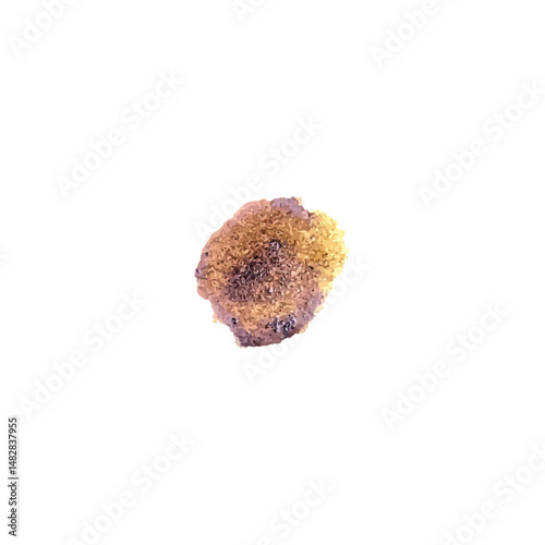 Grunge Coffee Stain. Abstract Vintage Coffee Spill & Splash Texture. Vintage Coffee Stain Effect.
