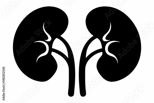 kidneys silhouette line art vector illustration with a white background