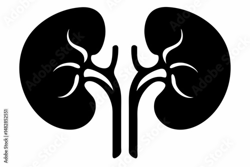kidneys silhouette line art vector illustration with a white background