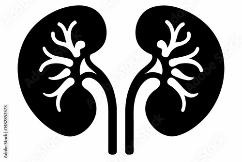 kidneys silhouette line art vector illustration with a white background
