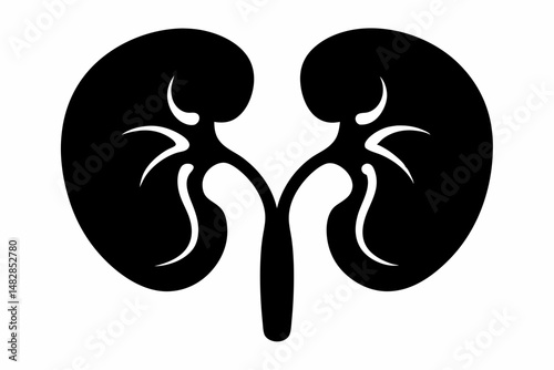 kidneys silhouette line art vector illustration with a white background