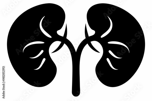 kidneys silhouette line art vector illustration with a white background