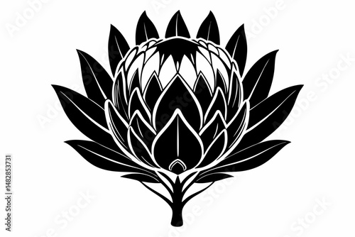 king protea flower silhouette line art vector illustration with a white background